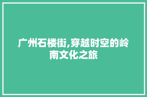 广州石楼街,穿越时空的岭南文化之旅  第1张