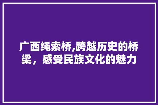 广西绳索桥,跨越历史的桥梁，感受民族文化的魅力  第1张