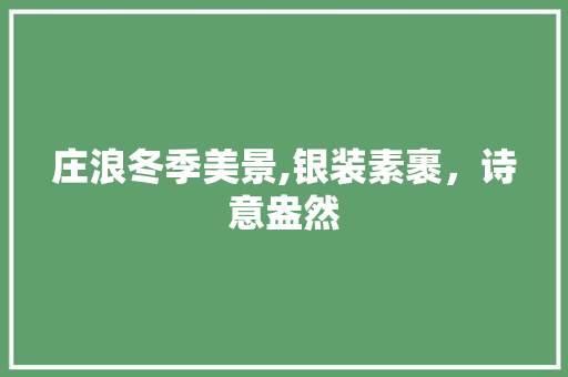 庄浪冬季美景,银装素裹，诗意盎然  第1张