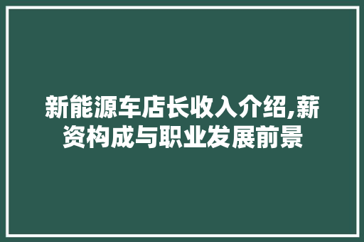 新能源车店长收入介绍,薪资构成与职业发展前景  第1张