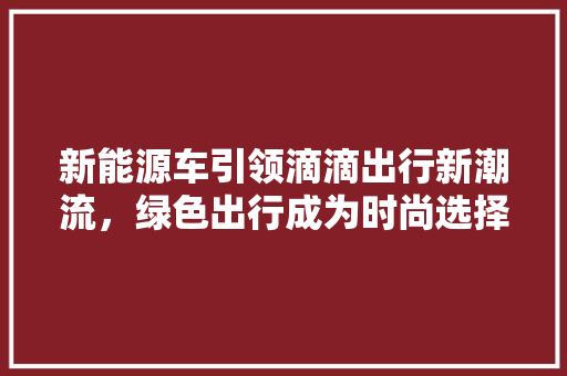 新能源车引领滴滴出行新潮流，绿色出行成为时尚选择  第1张