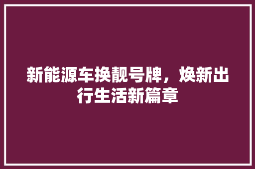 新能源车换靓号牌，焕新出行生活新篇章  第1张