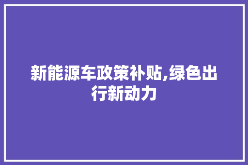 新能源车政策补贴,绿色出行新动力  第1张