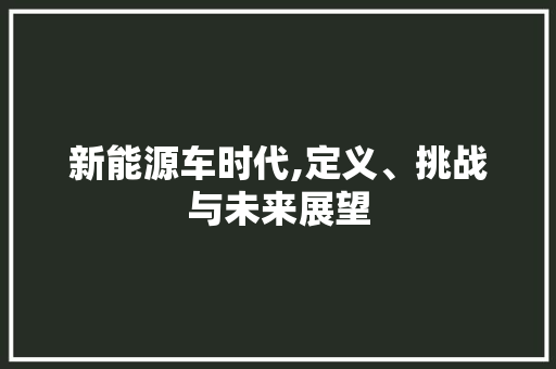 新能源车时代,定义、挑战与未来展望  第1张