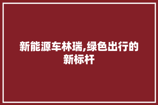 新能源车林瑞,绿色出行的新标杆  第1张