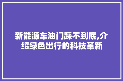 新能源车油门踩不到底,介绍绿色出行的科技革新  第1张