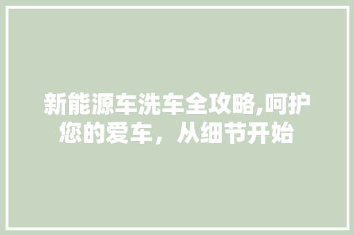 新能源车洗车全攻略,呵护您的爱车，从细节开始