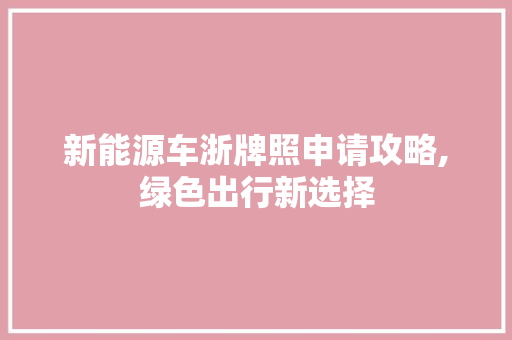 新能源车浙牌照申请攻略,绿色出行新选择