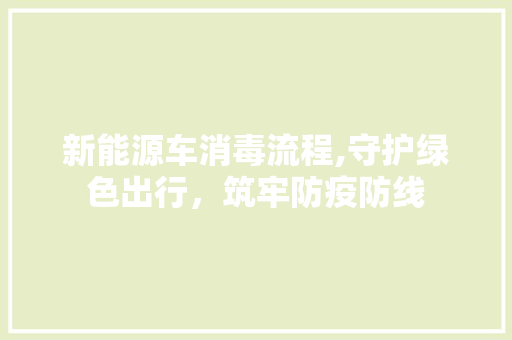新能源车消毒流程,守护绿色出行，筑牢防疫防线  第1张