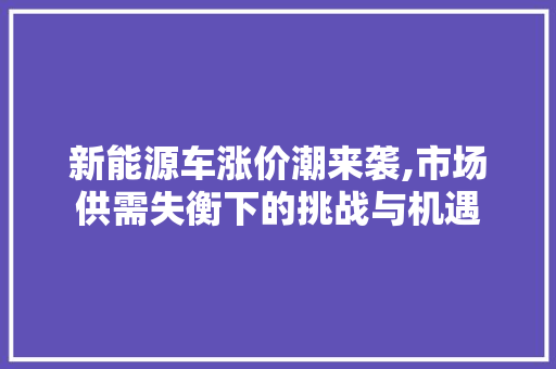 新能源车涨价潮来袭,市场供需失衡下的挑战与机遇