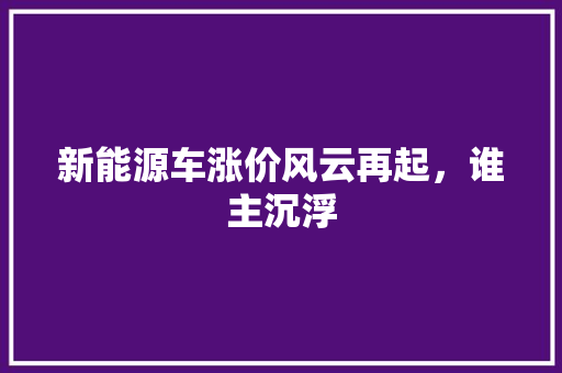 新能源车涨价风云再起，谁主沉浮