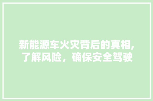 新能源车火灾背后的真相,了解风险，确保安全驾驶