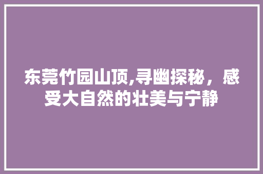 东莞竹园山顶,寻幽探秘，感受大自然的壮美与宁静