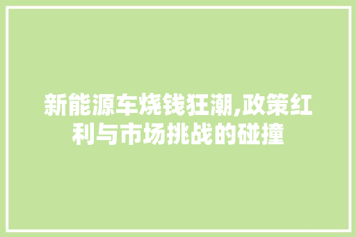 新能源车烧钱狂潮,政策红利与市场挑战的碰撞  第1张