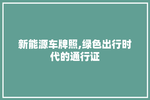 新能源车牌照,绿色出行时代的通行证