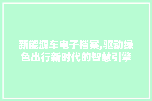 新能源车电子档案,驱动绿色出行新时代的智慧引擎  第1张