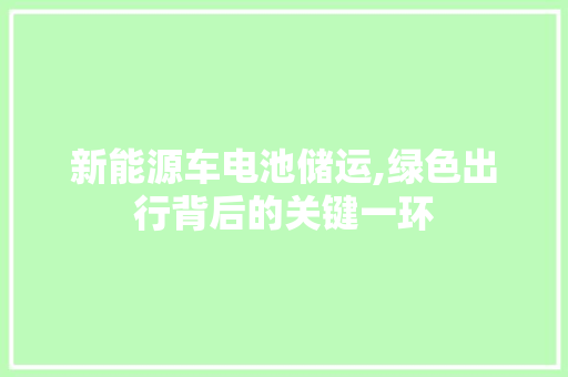 新能源车电池储运,绿色出行背后的关键一环  第1张