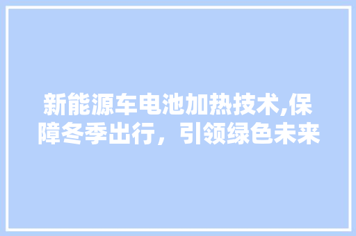新能源车电池加热技术,保障冬季出行，引领绿色未来
