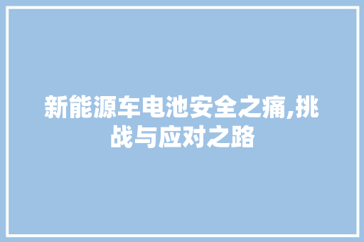 新能源车电池安全之痛,挑战与应对之路  第1张
