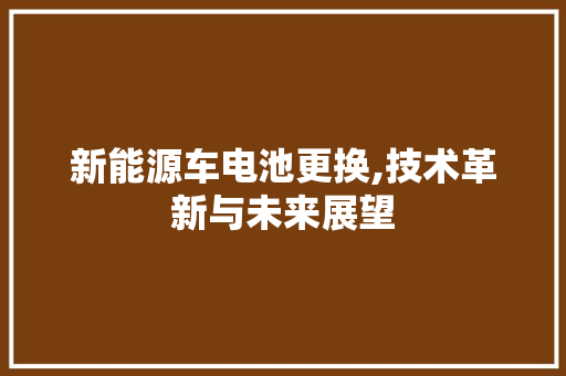 新能源车电池更换,技术革新与未来展望  第1张