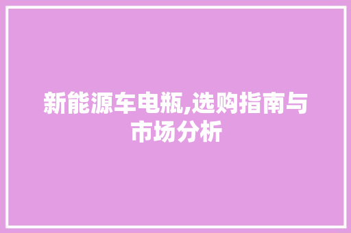 新能源车电瓶,选购指南与市场分析