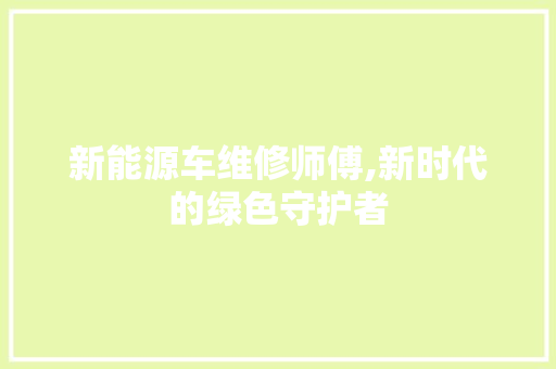 新能源车维修师傅,新时代的绿色守护者  第1张