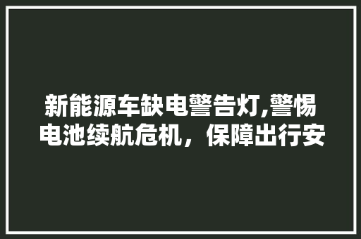 新能源车缺电警告灯,警惕电池续航危机，保障出行安全  第1张