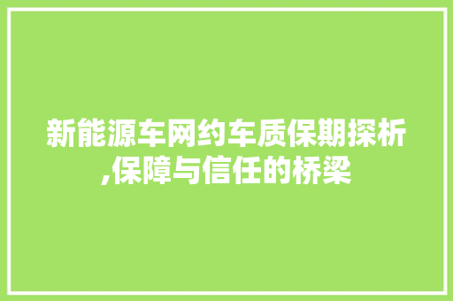 新能源车网约车质保期探析,保障与信任的桥梁  第1张