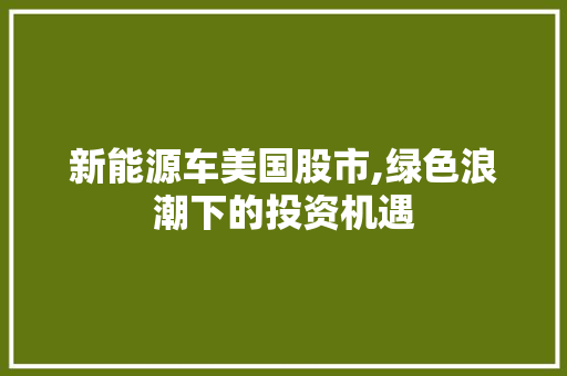 新能源车美国股市,绿色浪潮下的投资机遇  第1张