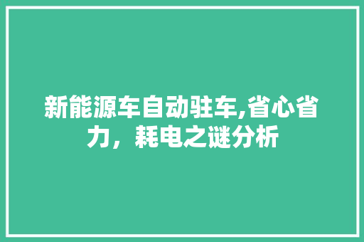新能源车自动驻车,省心省力，耗电之谜分析  第1张