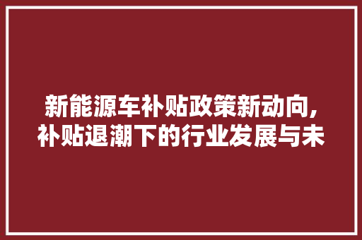 新能源车补贴政策新动向,补贴退潮下的行业发展与未来展望  第1张