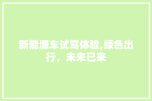 新能源车试驾体验,绿色出行，未来已来  第1张