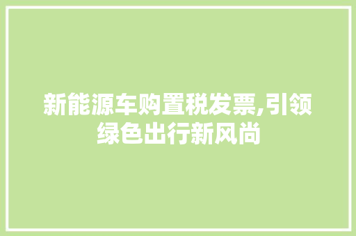 新能源车购置税发票,引领绿色出行新风尚