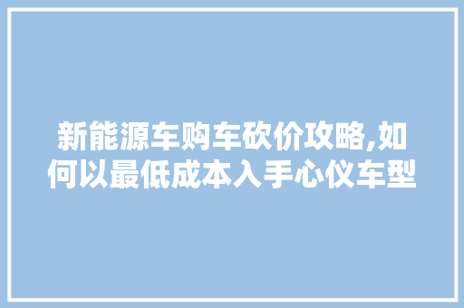 新能源车购车砍价攻略,如何以最低成本入手心仪车型