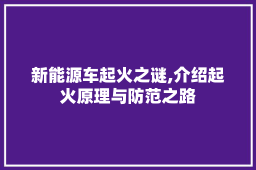 新能源车起火之谜,介绍起火原理与防范之路  第1张