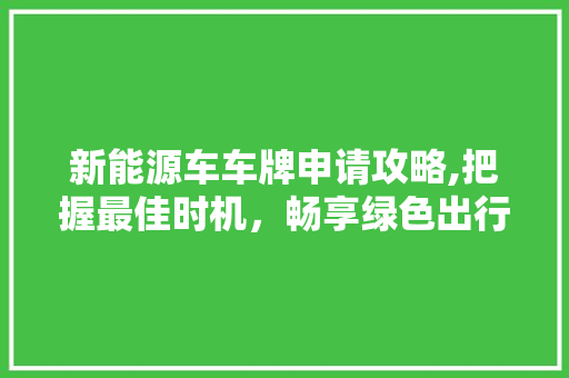 新能源车车牌申请攻略,把握最佳时机，畅享绿色出行  第1张