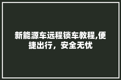 新能源车远程锁车教程,便捷出行，安全无忧  第1张