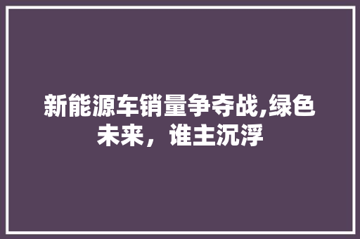 新能源车销量争夺战,绿色未来，谁主沉浮  第1张