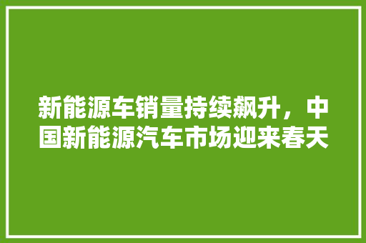 新能源车销量持续飙升，中国新能源汽车市场迎来春天  第1张
