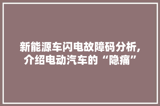 新能源车闪电故障码分析,介绍电动汽车的“隐痛”