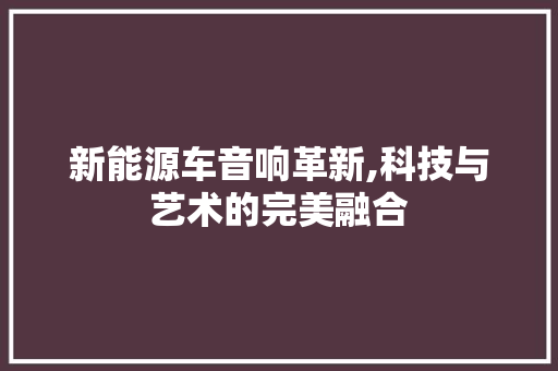新能源车音响革新,科技与艺术的完美融合  第1张