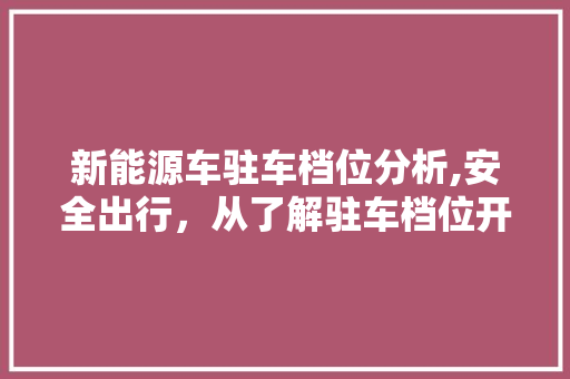 新能源车驻车档位分析,安全出行，从了解驻车档位开始