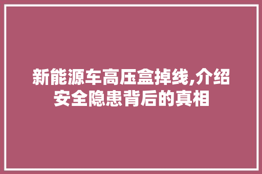 新能源车高压盒掉线,介绍安全隐患背后的真相