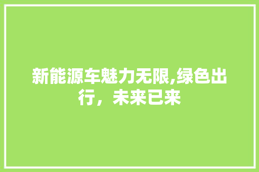 新能源车魅力无限,绿色出行，未来已来  第1张