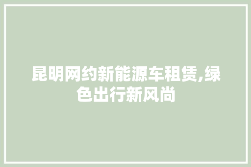 昆明网约新能源车租赁,绿色出行新风尚  第1张