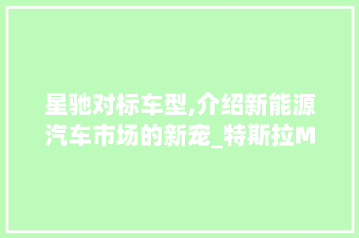 星驰对标车型,介绍新能源汽车市场的新宠_特斯拉Model3  第1张