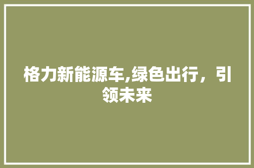 格力新能源车,绿色出行，引领未来