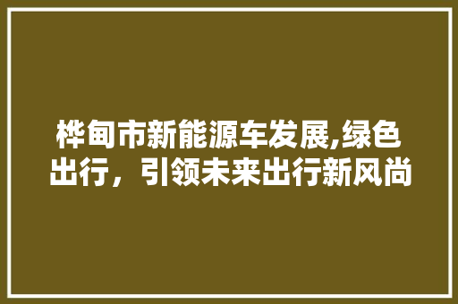桦甸市新能源车发展,绿色出行，引领未来出行新风尚
