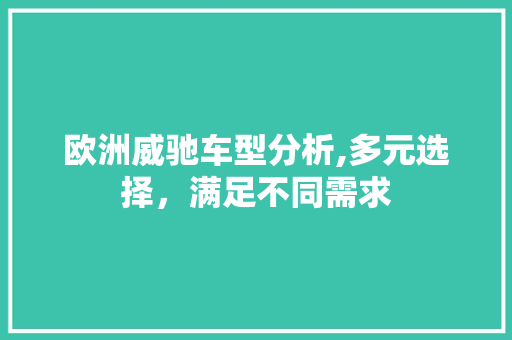 欧洲威驰车型分析,多元选择，满足不同需求