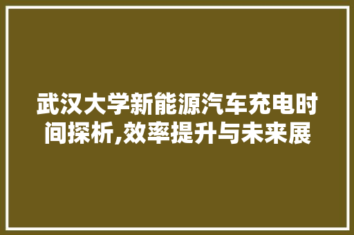 武汉大学新能源汽车充电时间探析,效率提升与未来展望  第1张